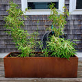 Steel Planter Box (14" L x 46" W x 14" H)