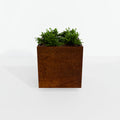 Steel Planter Box (18" L x 18" W x 18" H)