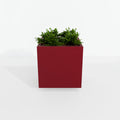Steel Planter Box (18" L x 18" W x 18" H)