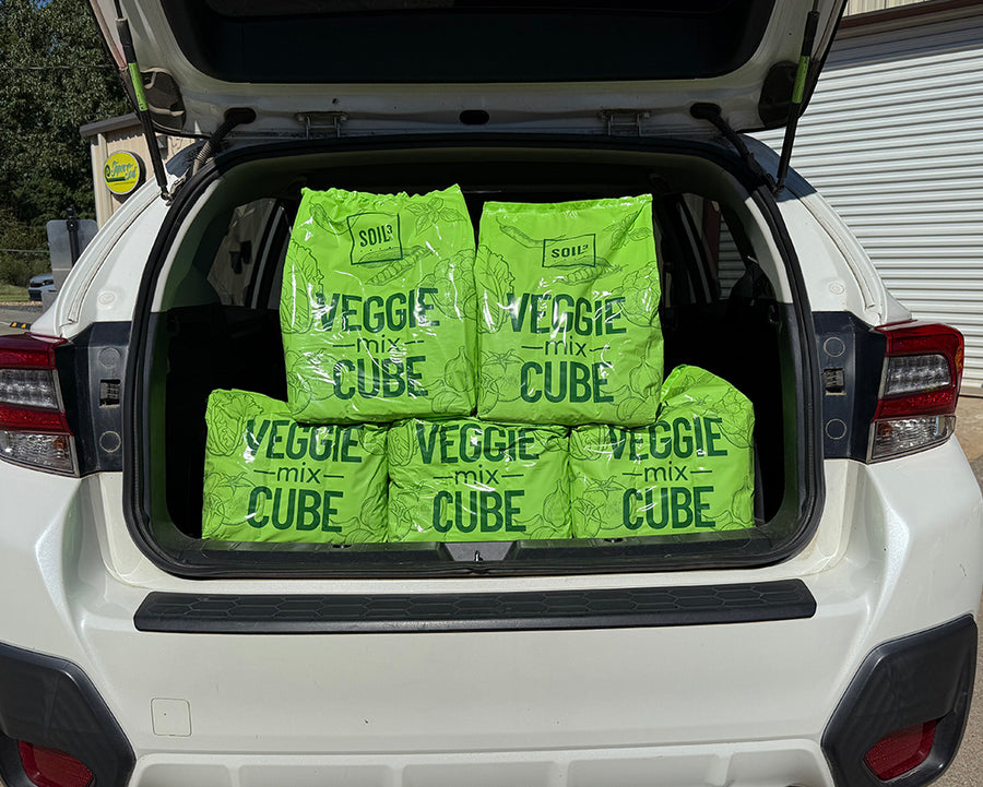 Mix & Match Mini Cubes - Buy 4 Get 1 FREE - Pickup Deal