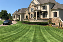 Zenith Zoysia