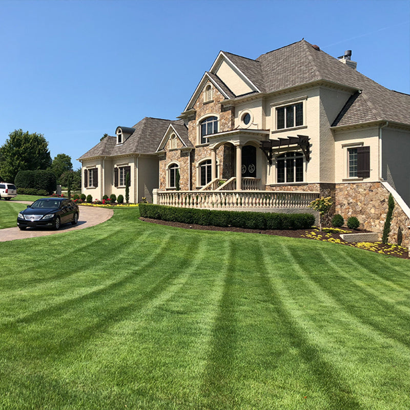 Zenith Zoysia Sod
