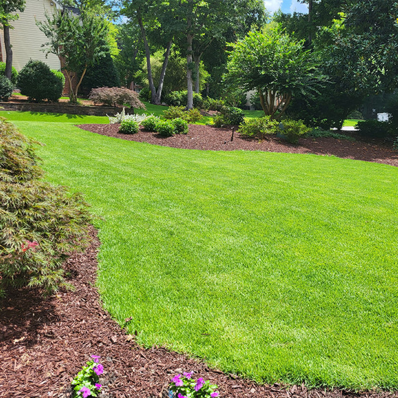 Zenith Zoysia Sod