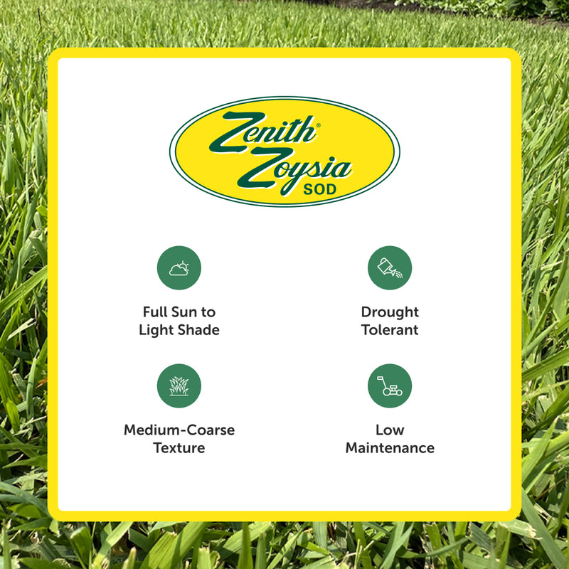 Zenith Zoysia Sod