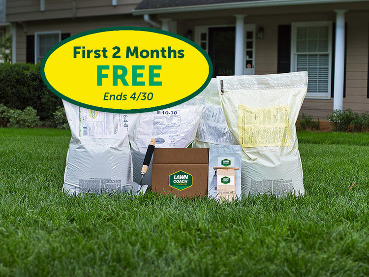 Essential Lawn Coach for Bermuda, Centipede, Zoysia, Tall Fescue