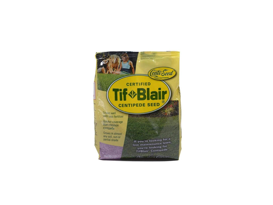 TifBlair Centipede Grass Seed