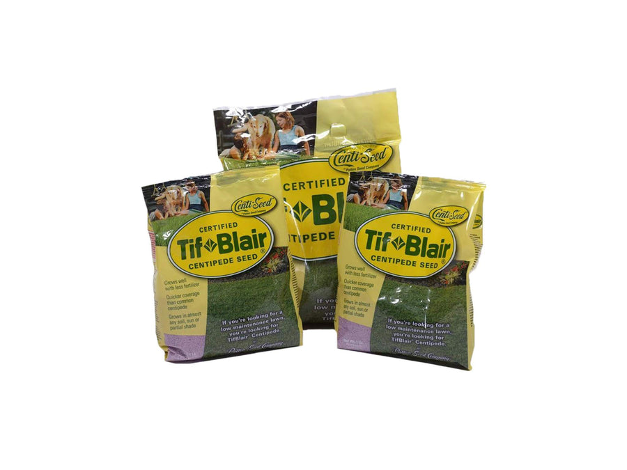 TifBlair Centipede Grass Seed