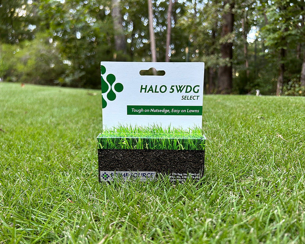 herbicide for nutgrass Nutsedge Herbicide Weed Control