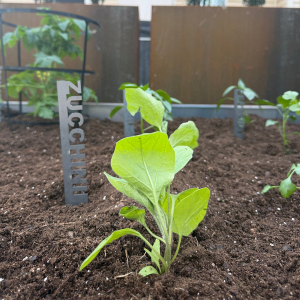 Garden Vegetable Markers