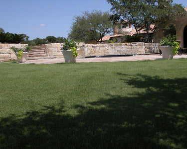 JaMur Zoysia