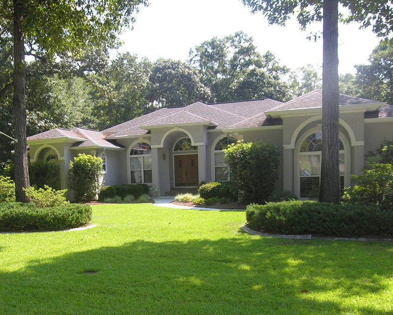 JaMur Zoysia