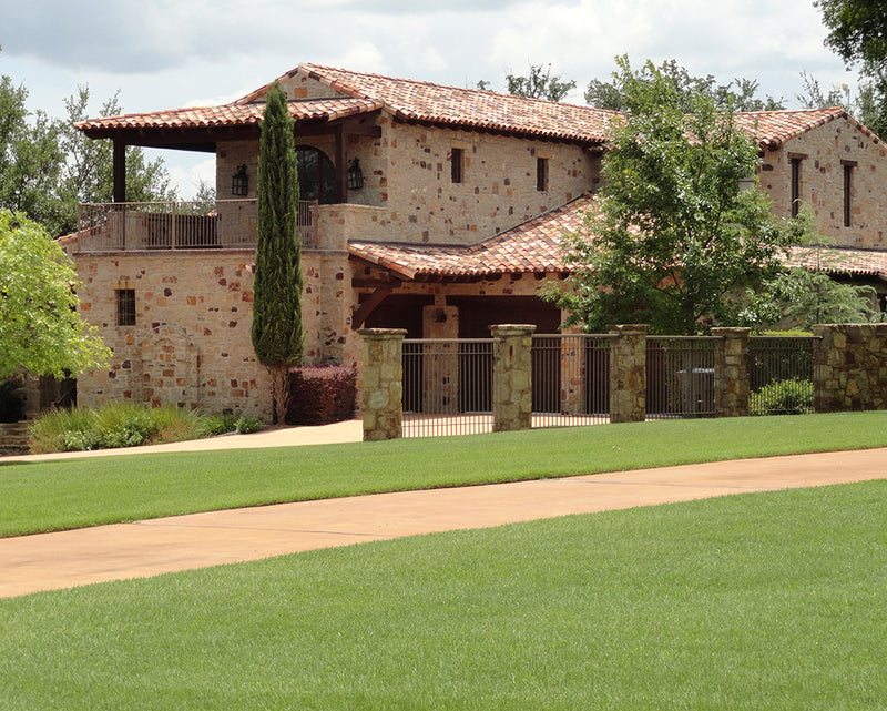 JaMur Zoysia