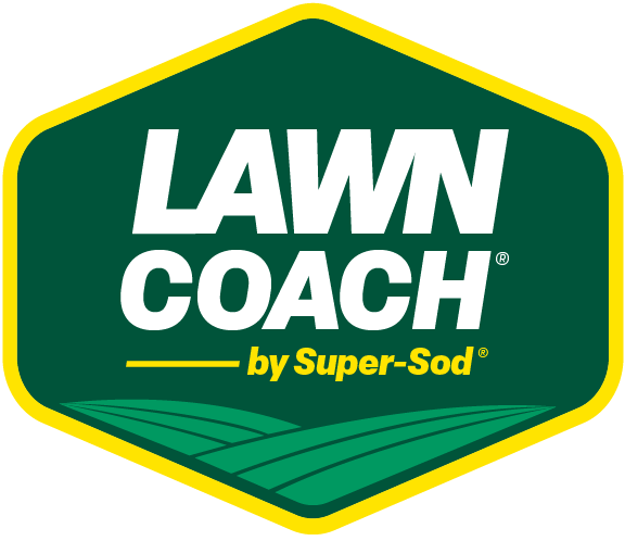 Champ Lawn Coach para Bermuda, Centipede, Zoysia, Tall Fescue