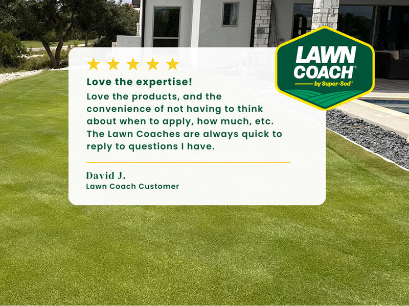 Essential Lawn Coach for Bermuda, Centipede, Zoysia, Tall Fescue