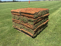 A picture of a pallet of Palisades Zoysia sod for sale that's centered in a sod field at the Super-Sod sod farm.