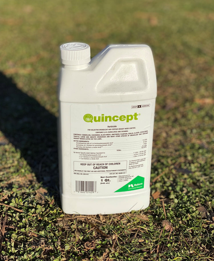 Quincept Herbicide for Grassy Weed Control