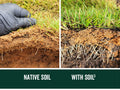 Bulk Compost in a BigYellowBag-Soil Improvement