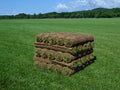Elite Tall Fescue Sod