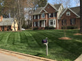 Elite Tall Fescue Sod