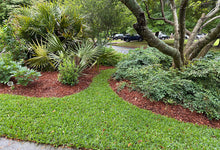 St. Augustine