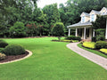 TifTuf Bermuda Sod