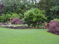 Tifway 419 Bermuda Sod