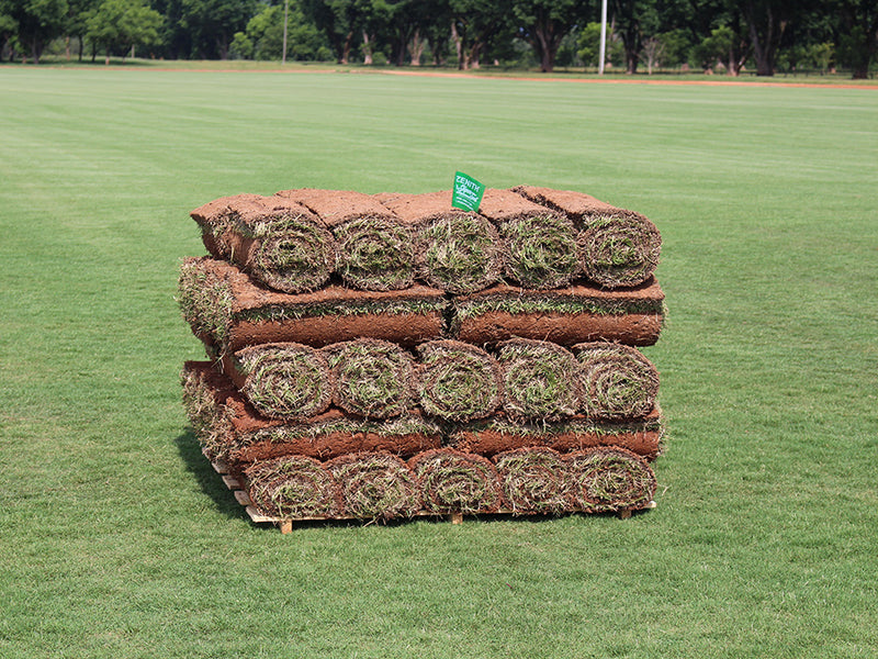 Zenith Zoysia Sod