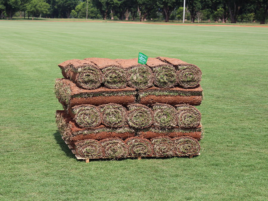 Zenith Zoysia Sod