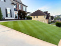 Zeon Zoysia Sod