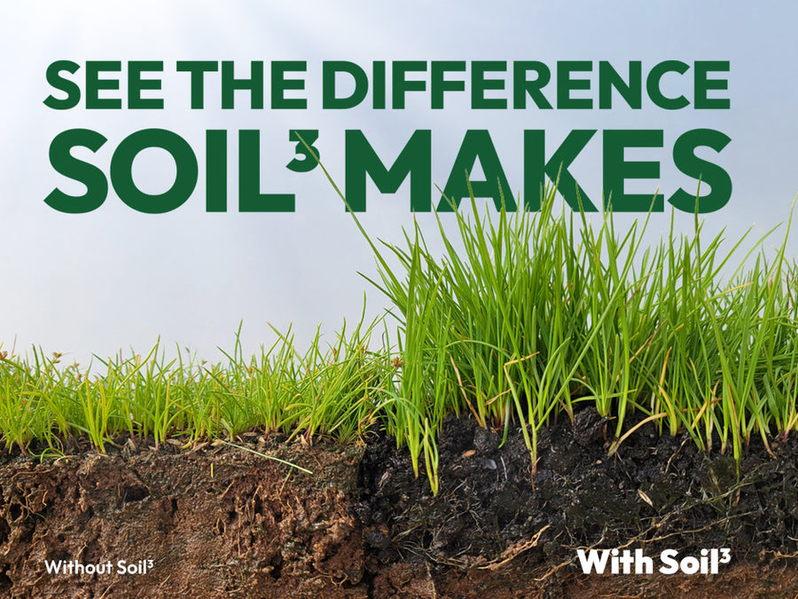 Mini Bad Spot Erasers