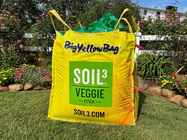 Fresh Grass Seed | Grow What We Grow | Super-Sod