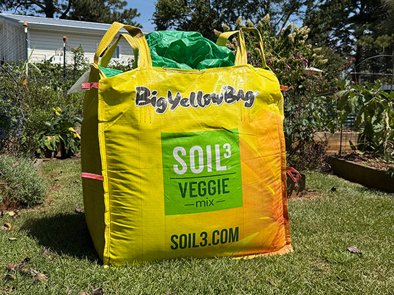 Large yellow bag labeled 'Big Yellow Bag' with 'SOIL3 VEGGIE mix' on a grassy area.