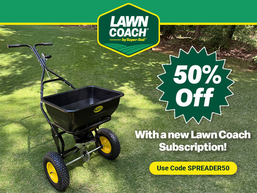 Entrenador de césped esencial para Bermuda, Centipede, Zoysia, Tall Fescue