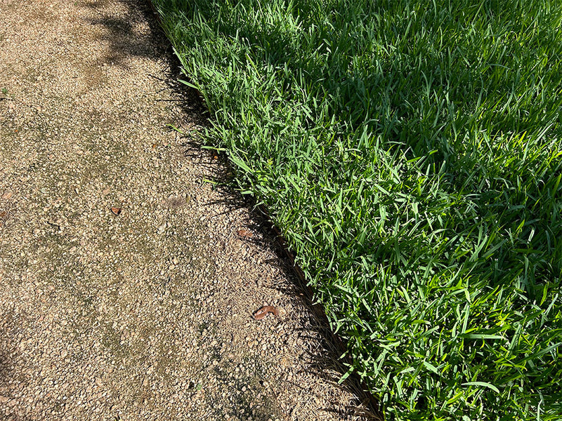 A close-up outdoor view of a gravel path running alongside a patch of St. Augustine grass under natural sunlight.