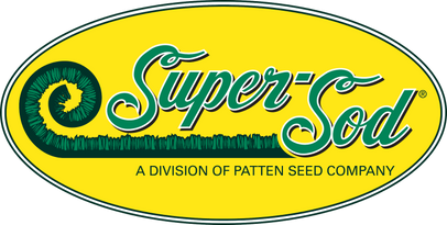 Super-Sod