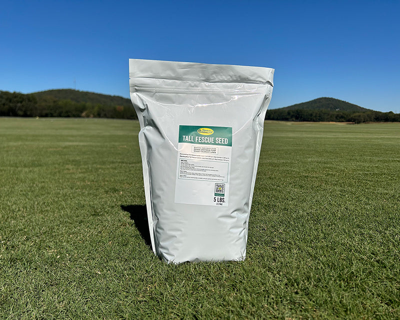 Tall Fescue seed 5 pound bag