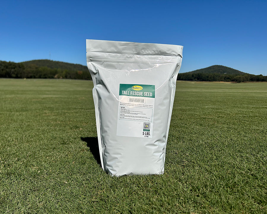 Tall Fescue seed 5 pound bag