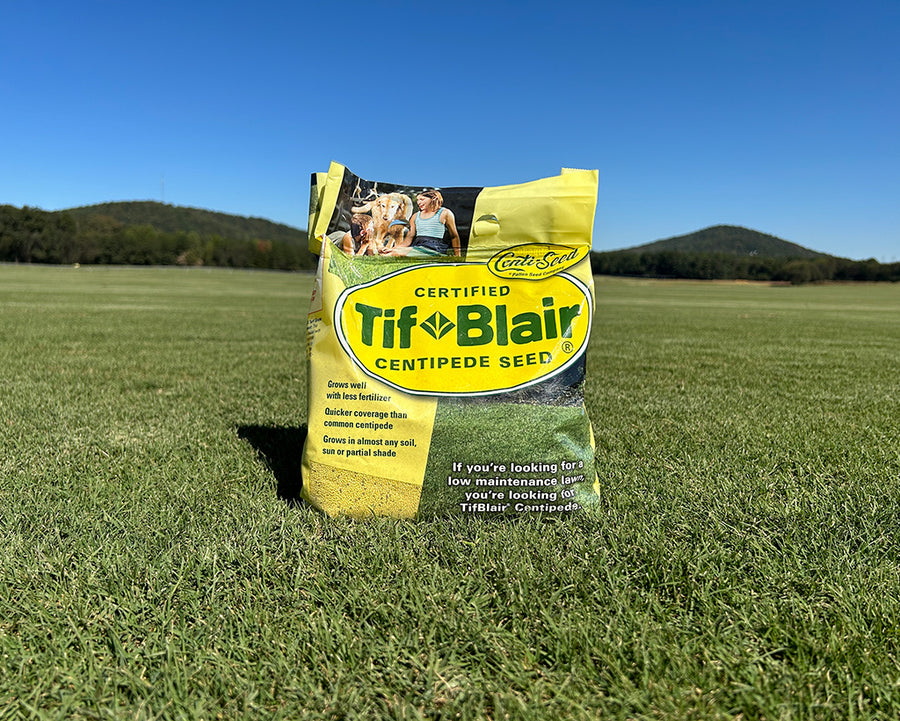 TifBlair Centipede 1 pound bag grass seed