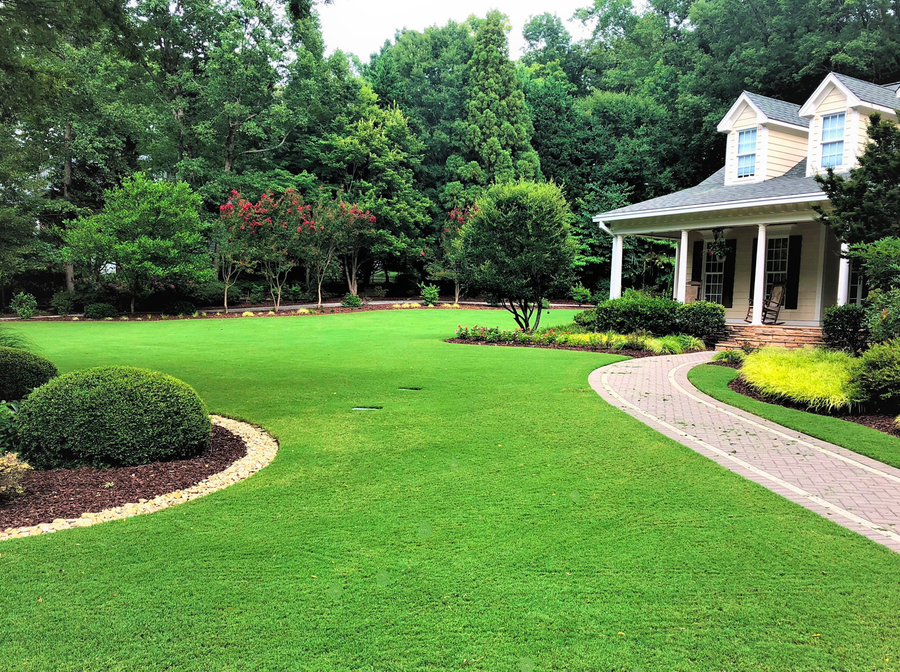Super-Sod TifTuf lawn