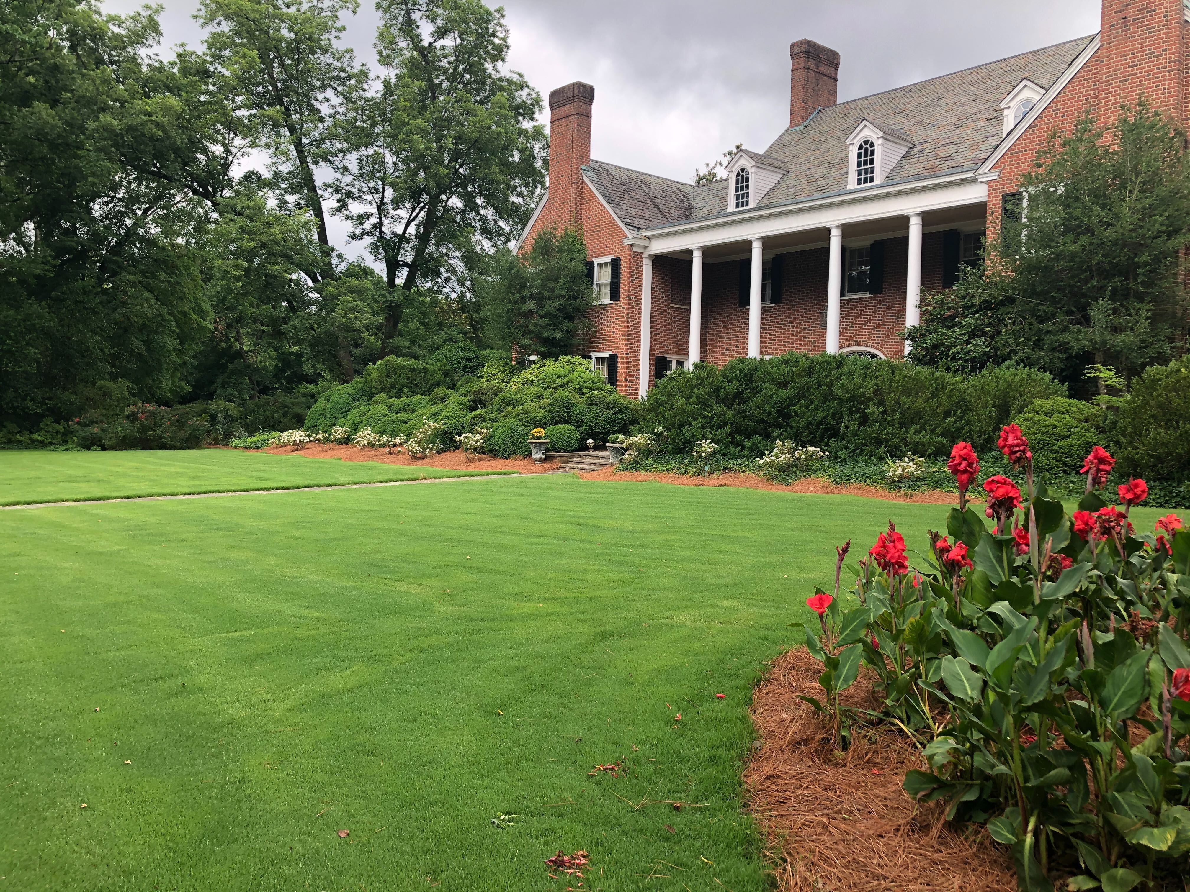 Bermuda sod clearance