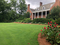 TifTuf Bermuda Sod