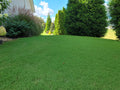 A lush Tifway Bermudagrass lawn slopes gently upward from the foreground, bordered by tall dark green trees, ornamental grasses, and a house exterior on the left under a blue sky with white clouds.