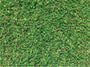 Tifway 419 Bermuda Sod