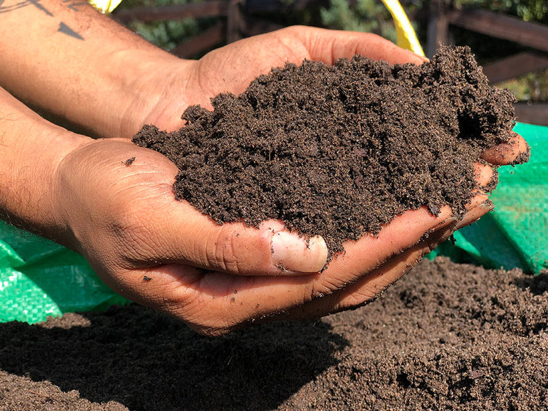 close up of Veggie Mix potting soil that is compost and bark