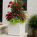 Steel Planter Box (18" L x 18" W x 18" H)