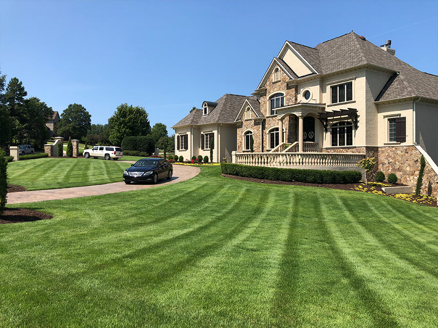 A large suburban house with a manicured Zenith Zoysia lawn in the foreground, a driveway with a black car under a clear blue sky.