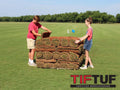TifTuf Bermuda Sod