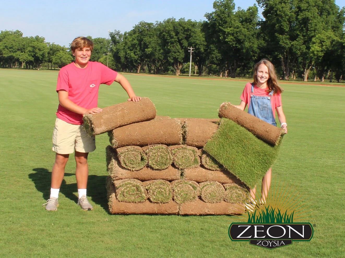 Zeon Zoysia Grass - Order Sod Online for Pick Up or Delivery Sod