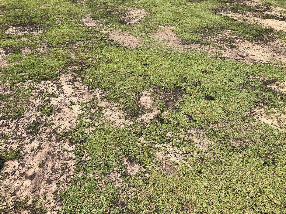 Yard Leveling Mix For Sale | Soil³