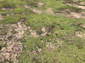 Soil³ Level Mix | Bucket | 3.5 Gallons